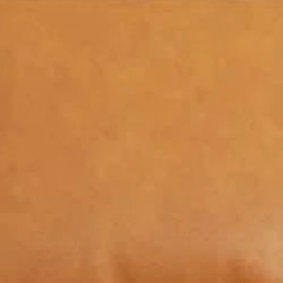 Tan Brown Genuine Leather Sample