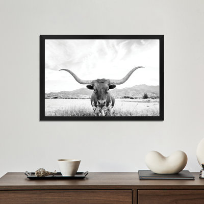 Affiches encadrées Longhorn