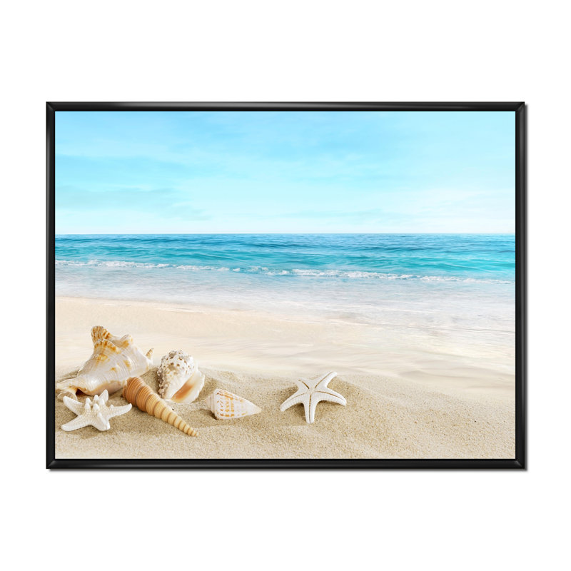 Paysage avec coquillages sur une plage tropicale - photographie sur toile, H 30 po x l 40 po, Cadre flottant noir