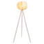 Lampe trépied H 65,75 po avec abat-jour en forme de citrouille Wynogène