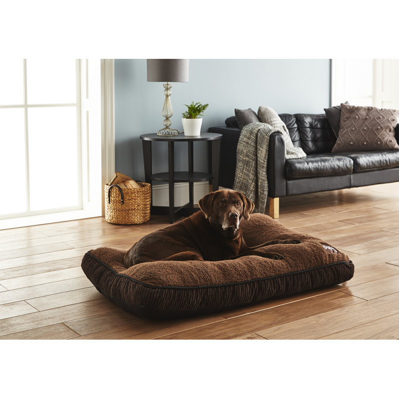 Arlot Polyester Pet Bed, 120 cm B x 77 cm T x 10 cm H
