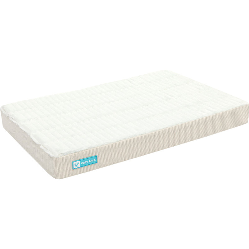 Premium Orthopedic Memory Foam Dog Bed, 3" H x 40" W x 26" D, Beige