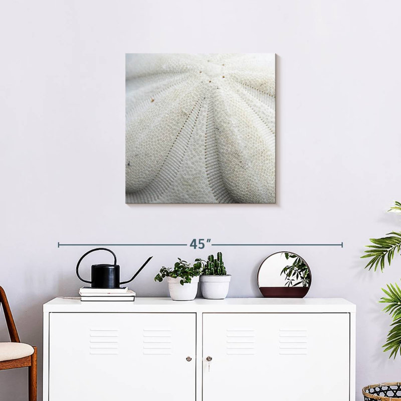 Crowle Textured Sand Dollar, 24" H x 24" W