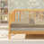 Ecru/ Brown