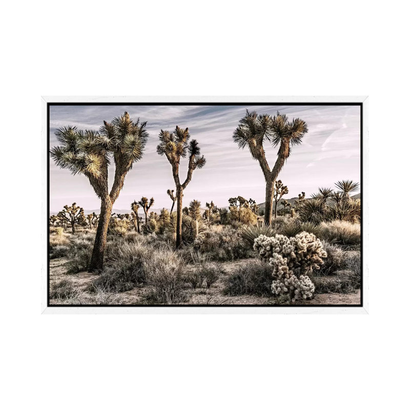 Joshua Tree Views IX by Rachel Perry - Gallery-Wrapped Canvas Giclée on Canvas, 66.04 cm H x 45.72 cm W, White Floater Framed