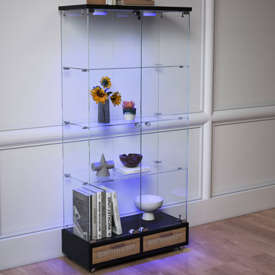 Armoire antique à assemblage rapide, présentoir en verre à 2 portes et 4 tablettes, noir et naturel, éclairage à DEL de 13 couleurs, petit espace, bibliothèque de chambre à coucher avec rangement, mobilité modulable, multifonctionnel