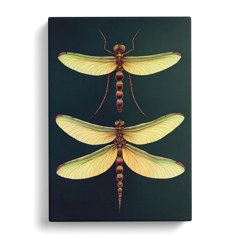 Desirable Dragonflies - Wrapped Canvas, 60cm H x 40cm W x 3cm D