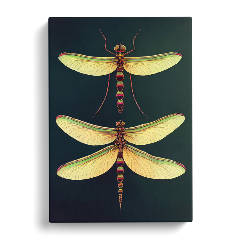 Desirable Dragonflies - Wrapped Canvas, 76cm H x 50cm W x 3cm D