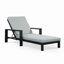 Hoyt 35'' Outdoor Metal Chaise Lounge-460084295