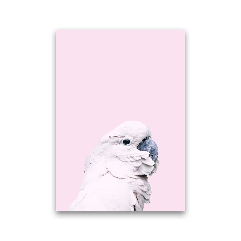 Pink Cockatoo 1 Piece Wall Art, 59cm H x 42cm W x 1cm D, Unframed