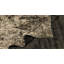 Rapture Camouflage Area Rug in Beige/Gray-68861661
