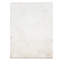 Tapis de couloir ivoire 2 pi 8 po x 9 pi 11 po Philip