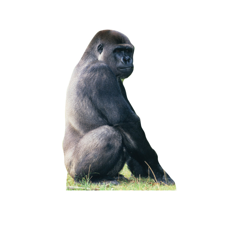 Animals Non-Wall Damaging Wall Decal, Cardboard Standup