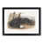Black Framed selected