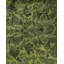 Semaj One-of-a-Kind 4' 1" X 6' 3" Hand Knotted Area Rug