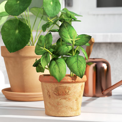 Artificial Basil in Aged Terracotta Pot