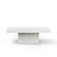 Kareen Single Coffee Table-778849762