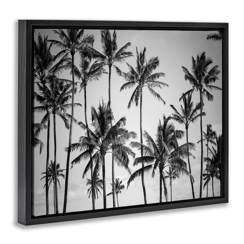 Palmiers, horizon, photographie en noir et blanc sur toile par Design Fabrikken, H 31 po x l 25 po