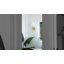 Meuble-lavabo Wallache-1529773037-1539914451