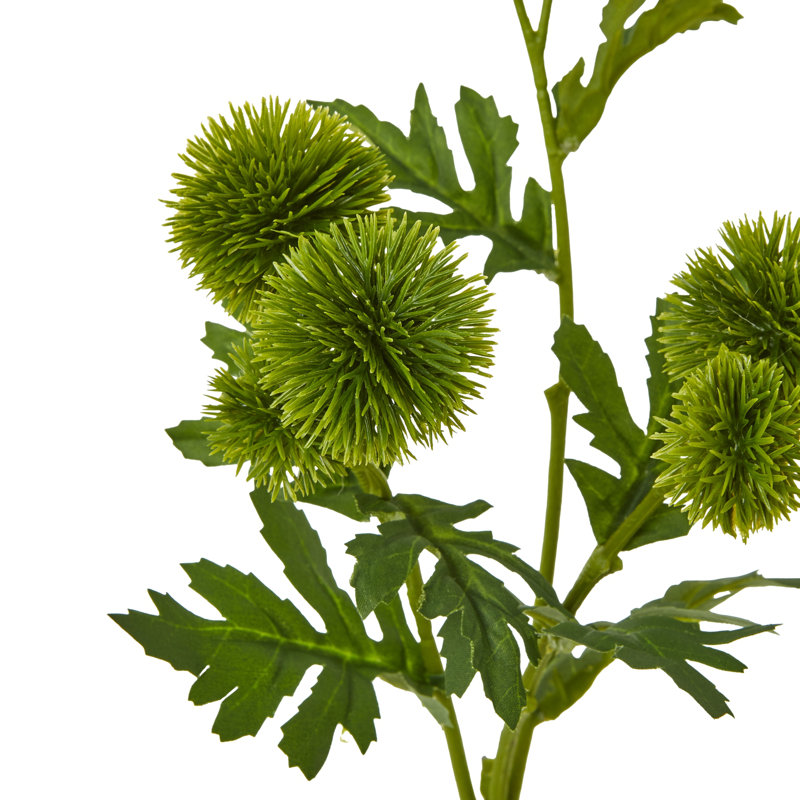 Anastasija Arrangement, Green