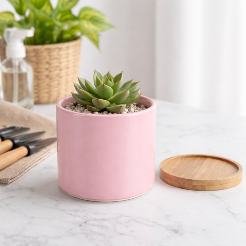 Zelal 2-Piece 4.5" Ceramic Pot Planter Set, Pink