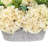 Hydrangea and Sedum Arrangement