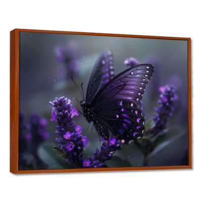 Papillon noir mauve, beauté sur fleur - Art mural papillon