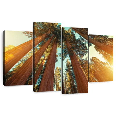 Harnek Giant Sequoias Redwood