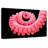 Brampt Pink Octopus Tentacle-108734042