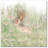 Peter Cottontail Gallery Wrapped Canvas Decorative Accent-178871584