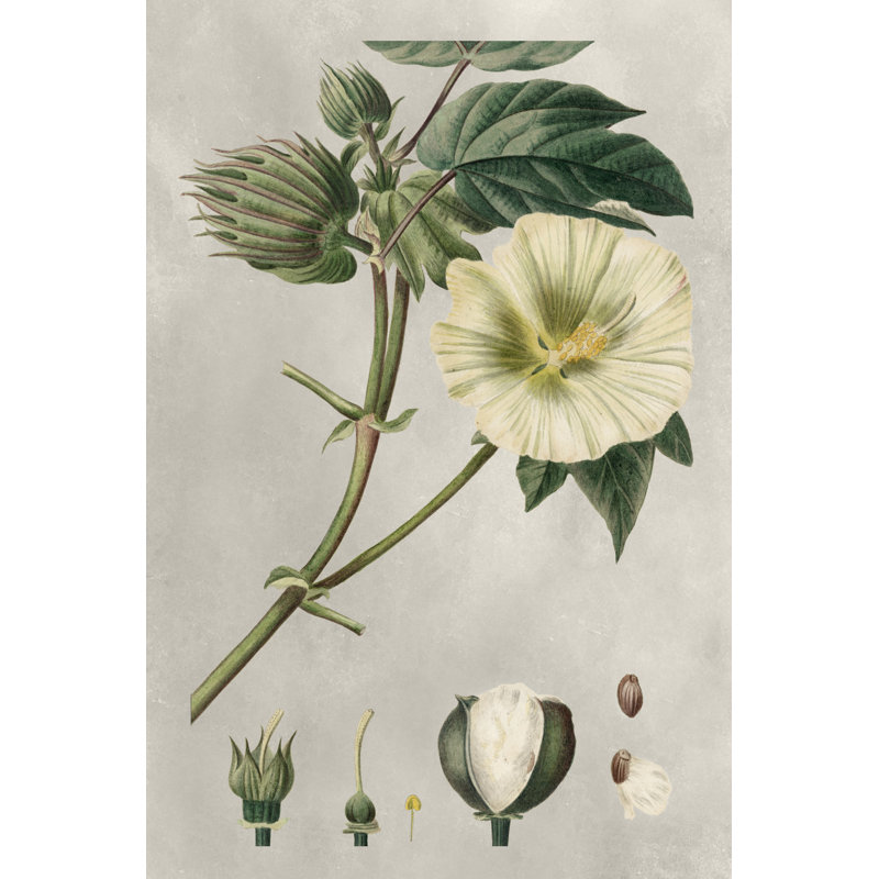 «AU CH Tropical Variétés II» par Pancrace Bessa, peinture sur toile tendue, H 18 po x l 12 po x P 1,25 po