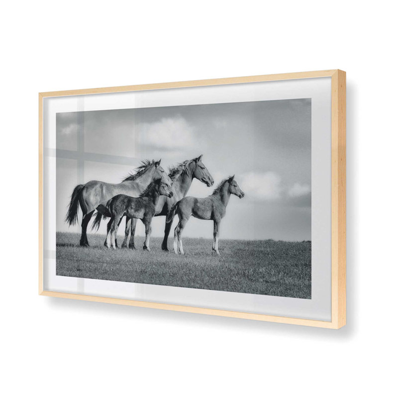 Famille de chevaux sauvages, H 12 po x l 15 po, Famille de chevaux sauvages, Cadre photo simple érable brut