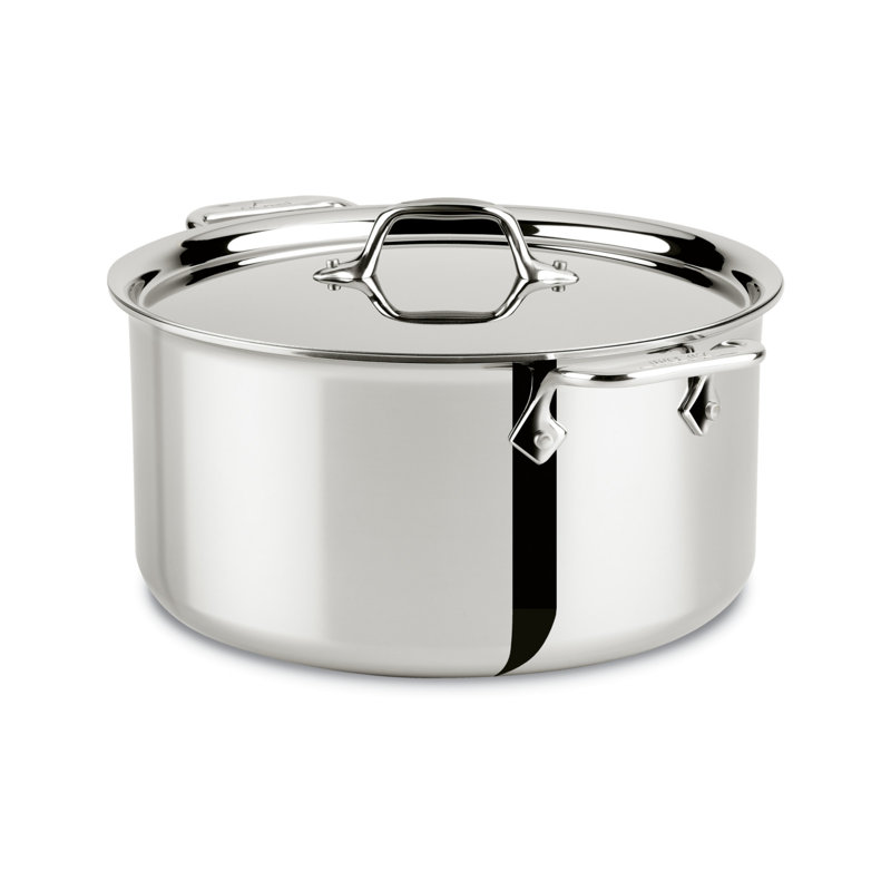 All-Clad 8-Quart Stainless Steel Stockpot with Lid for Induction