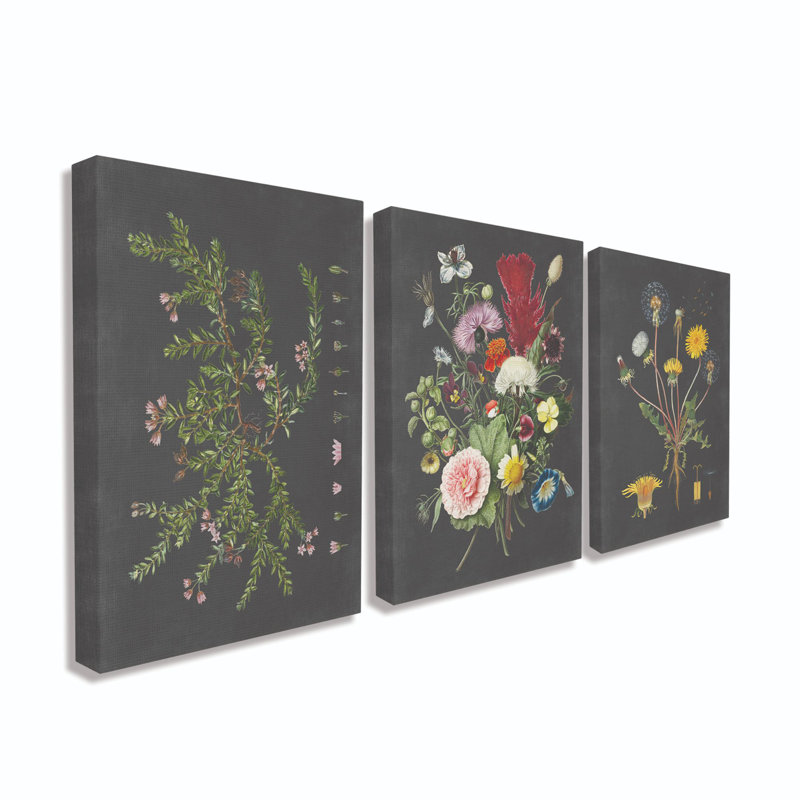 «Botanical Chalkboard Flowers Illustration», ensemble de 3 impressions, Toile tendue, H 30 po x l 24 po