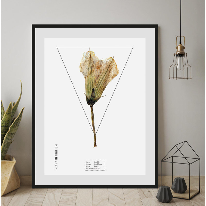 Plant - Single Picture Frame Print