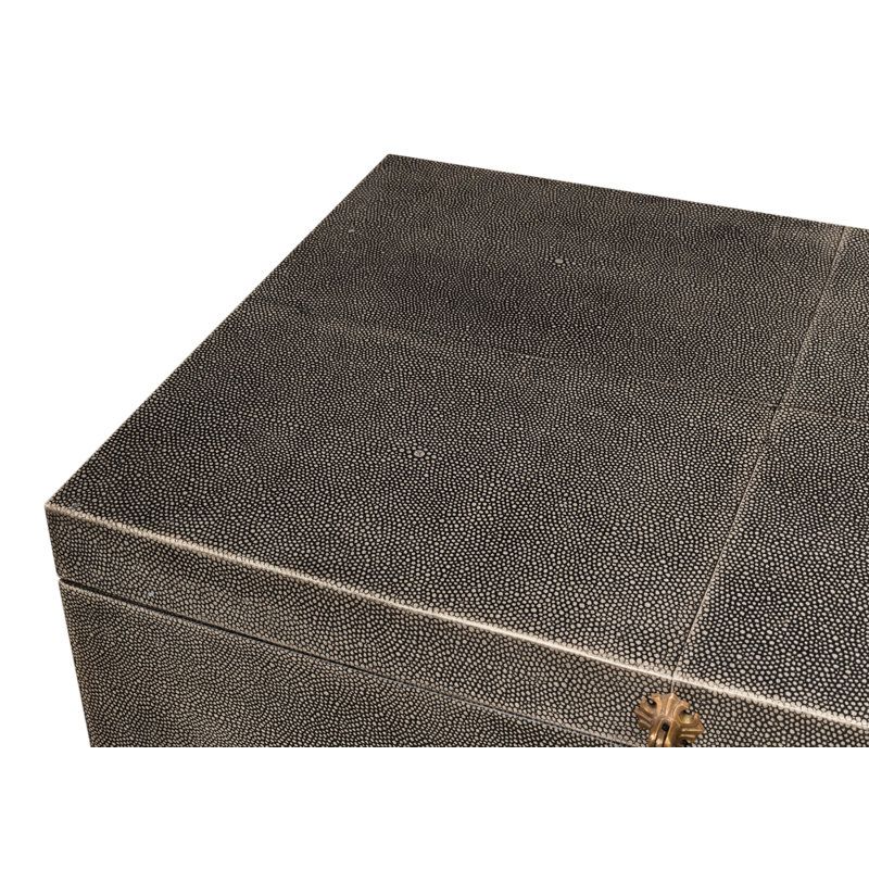 Shagreen Accent, Black Shagreen Antique