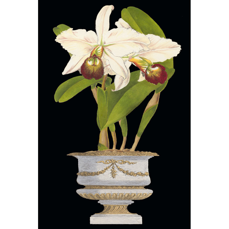 Orchids In Silver II by Vision Studio - Wrapped Canvas Art Prints, 91cm H x 61cm W x 3.8cm D