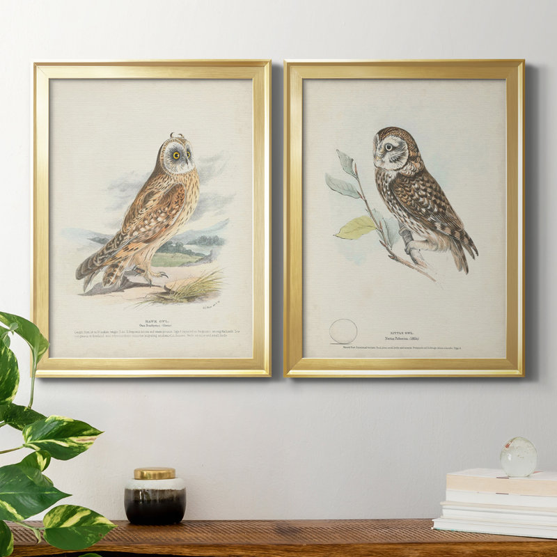 Hawk Owl - ensemble de 2 peintures sur toile encadrées, H 42,5 po x l 30,5 po x P 1 po, Or