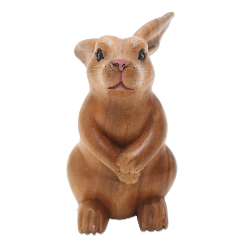 Adorable lapin Brazell, Brun