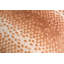 Staccato Square Woven Jacquard Pillow-1558733178-1558733181-1598142891