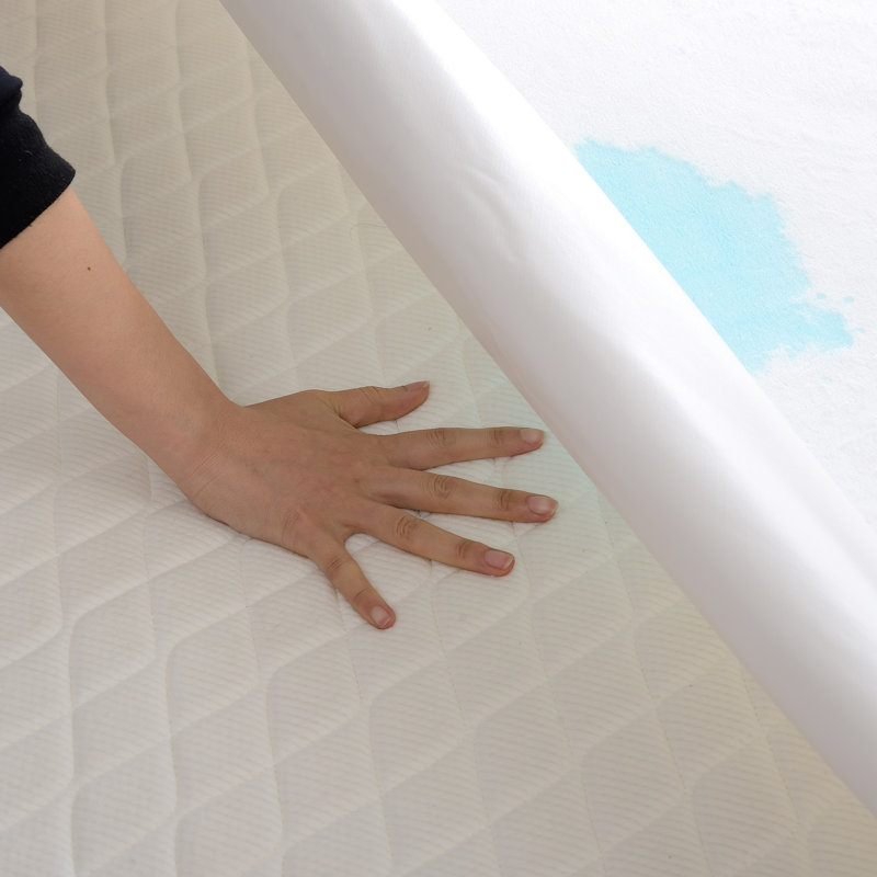 Maleah Waterproof Fitted Mattress Protector Case Pack, Twin