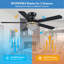 Ceiling Fan