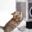 Arbre à chat 48,4 po H pour grands chats et MaineCoon-1811539051