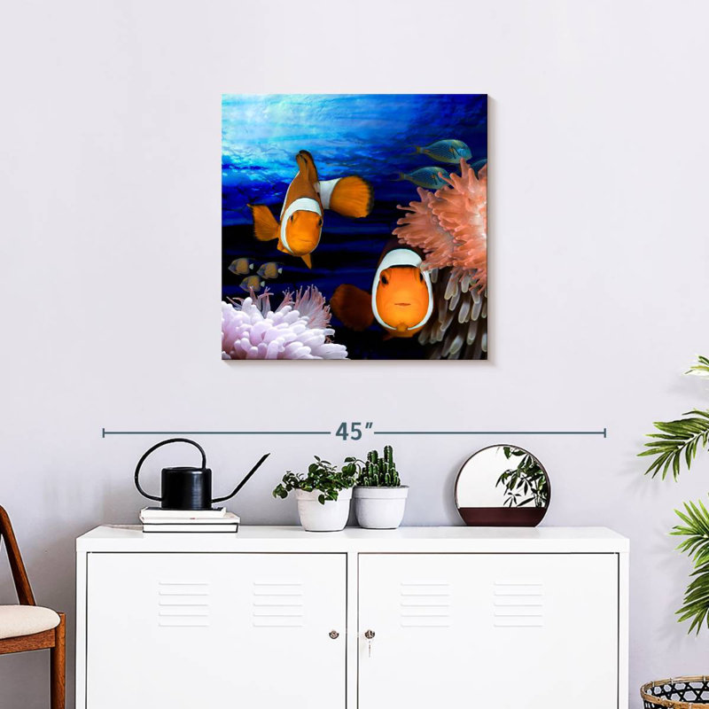 Crowle Sea Creatures Clown Fish
