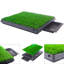 Dannyelle Dog Pee Turf