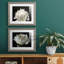 ALL AFLUTTER - ensemble de 2 reproductions-1778156556-1761994144-1761994147