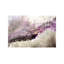 Wrapped Canvas Print-25224529