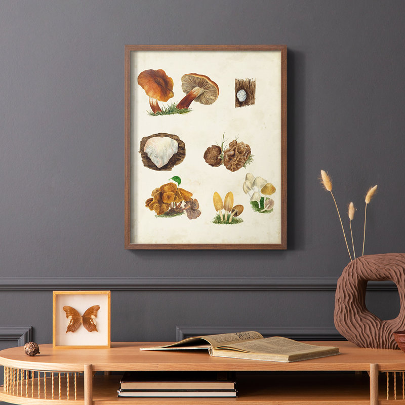 «Mushroom Species I», reproduction encadrée - bois massif, Brun, H 14 po x l 11 po