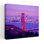 États-Unis, Californie, San Francisco, vue en angle du pont Golden Gate et de la ville, architecture contemporaine, art urbain