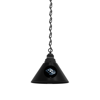 1 - Light Single Pendant